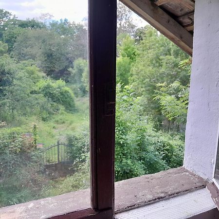Le Petit Cele Studio Cosy En Bord De Riviere ฟีแฌก ภายนอก รูปภาพ